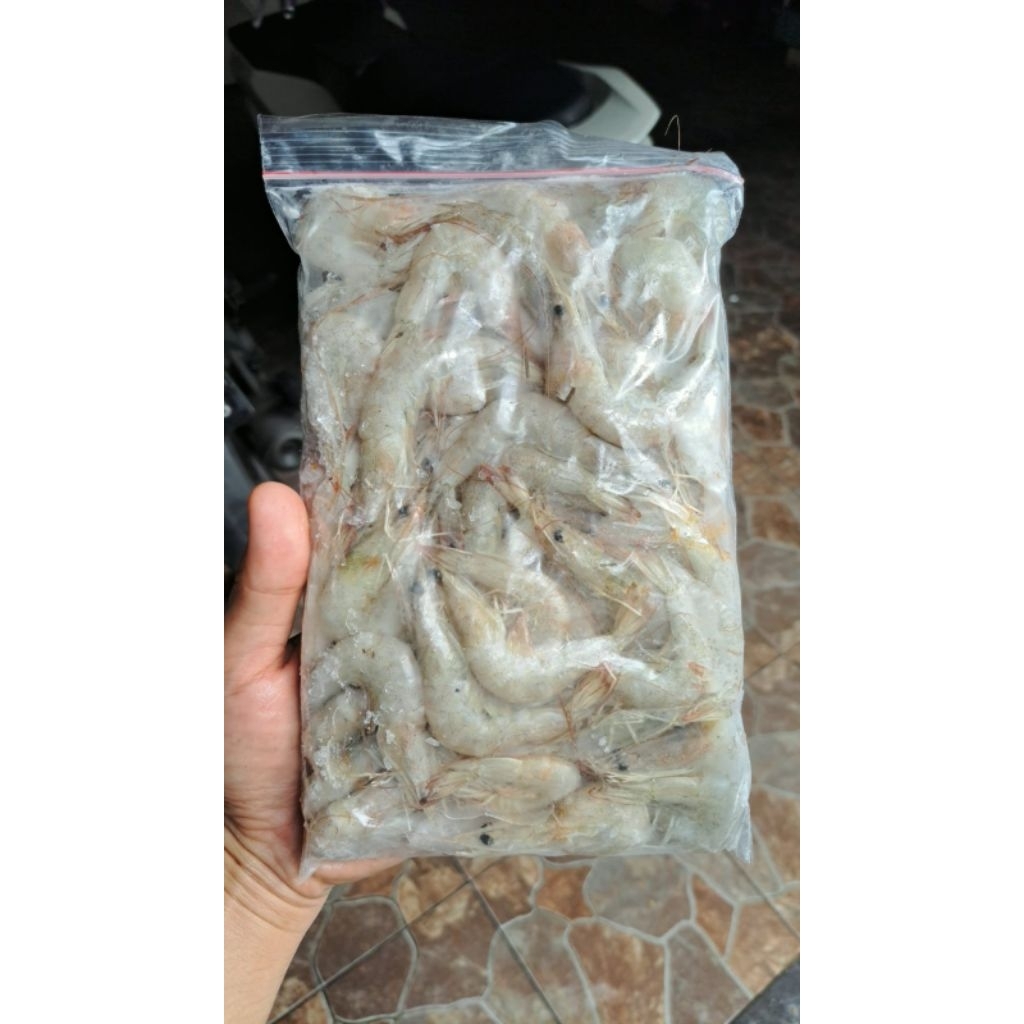 udang vaname/udang beku