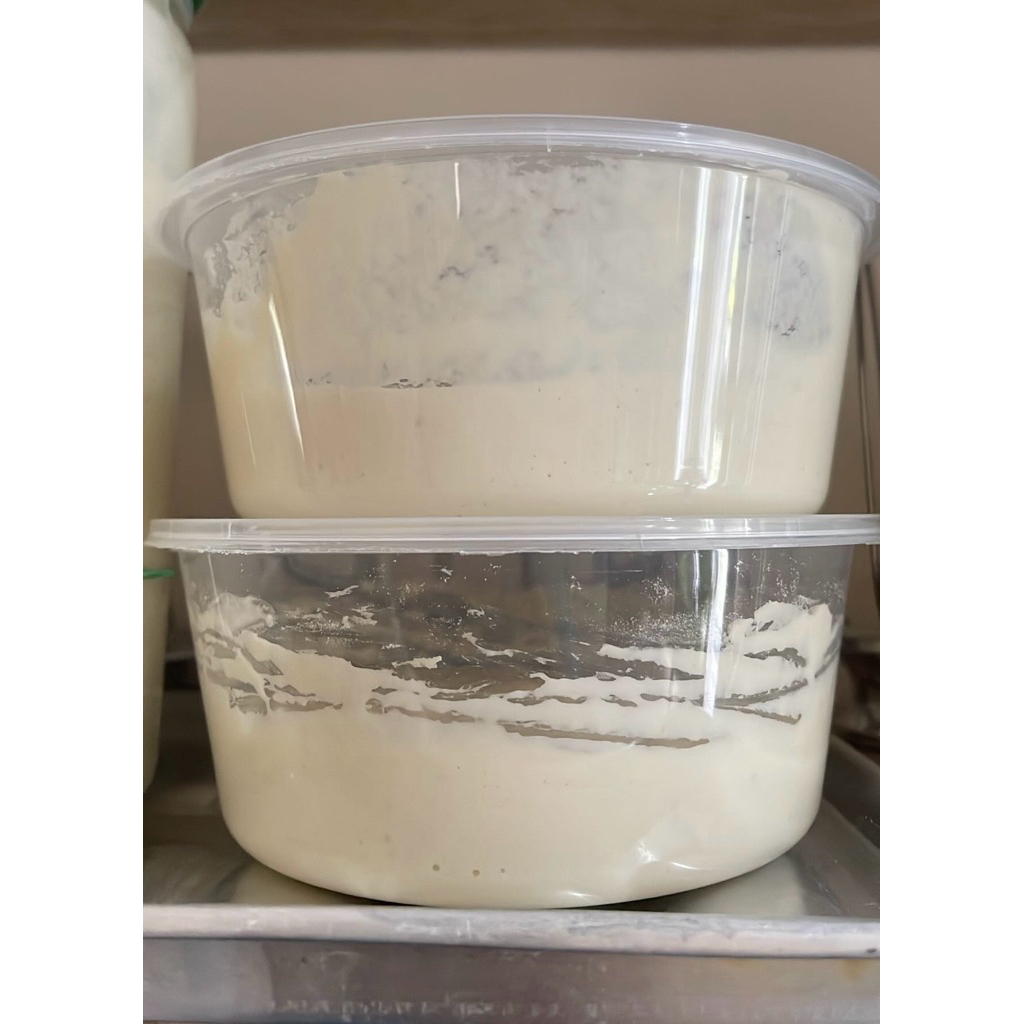 Mother Starter Sourdough