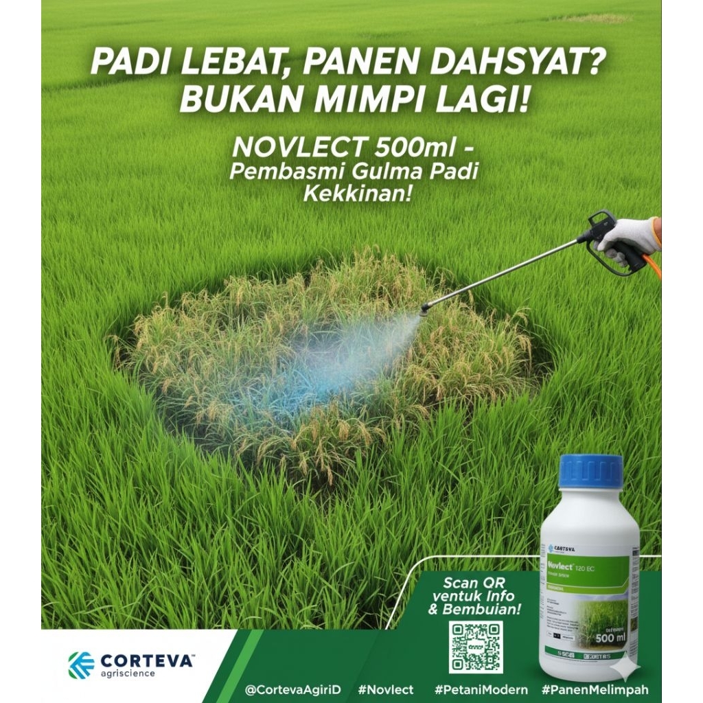 Herbisida Novlect | herbisida tanaman padi | obat gulma padi | gulma sempit dan lebar