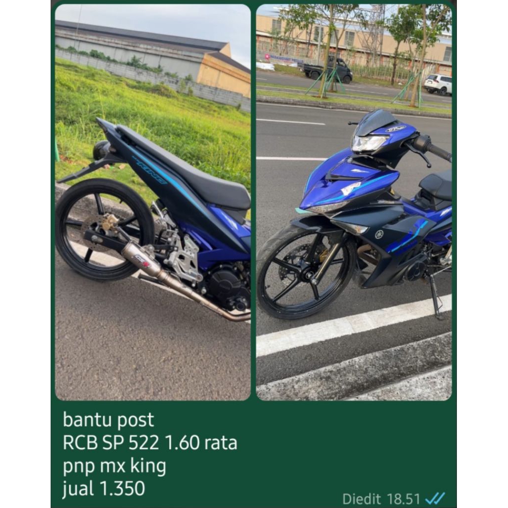 RCB SP522 mx king 1.60 rata