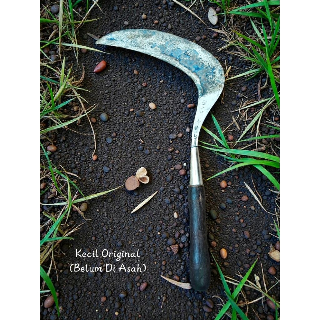 Sabit/Arit Cap Minin Kecil Original