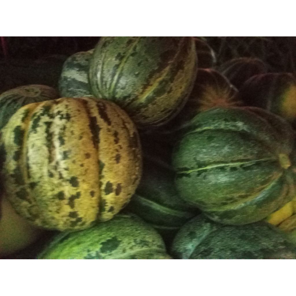 Buah Blewah Belewah segar