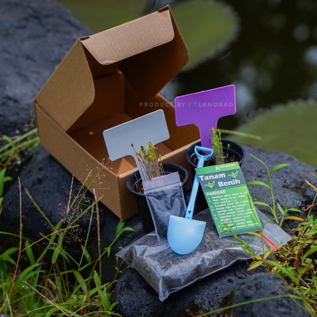 Mainan Edukasi Anak, KIT Tanam Benih