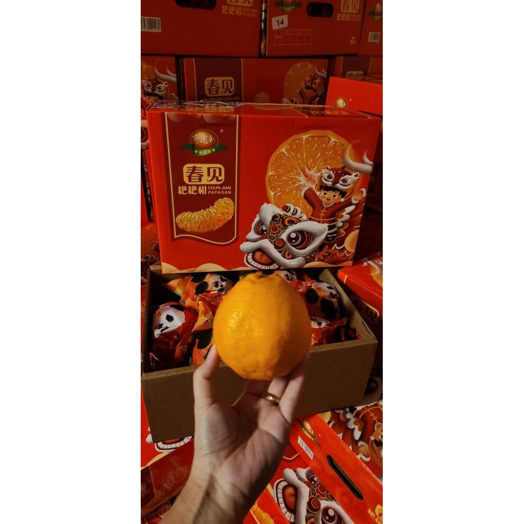 Dekopon Panda / Papagan Panda / Jeruk Dekopon box / Hampers Dekopon / Hampers Papagan