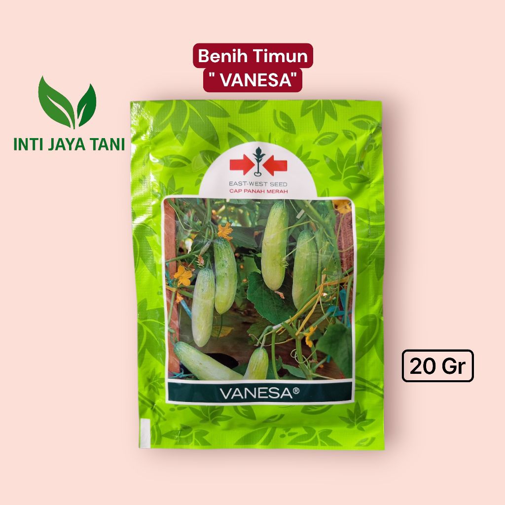 Benih Timun VANESA 20 Gram | Benih Timun Berkualitas Cap Panah Merah