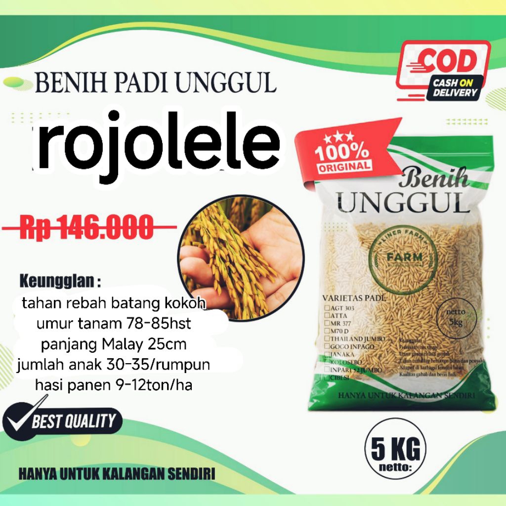 benih padi rojolele kemasan 5kg.