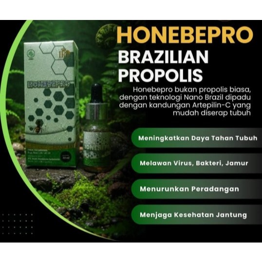 Propolis Honebepro Asli IPG Brazilian Green Propolis