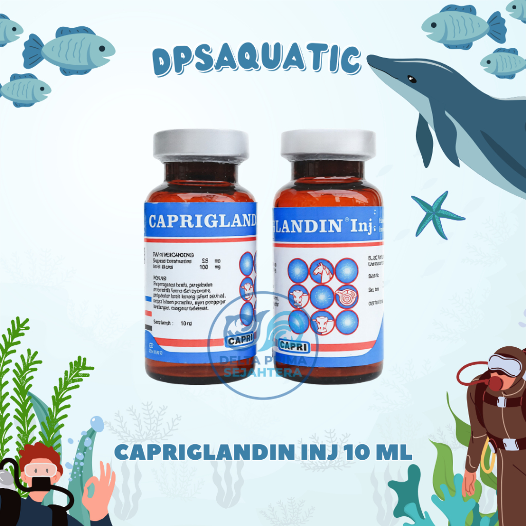 CAPRIGLANDIN INJ 10 ML - Hormon Sinkronisasi Estrus Hewan Ternak.