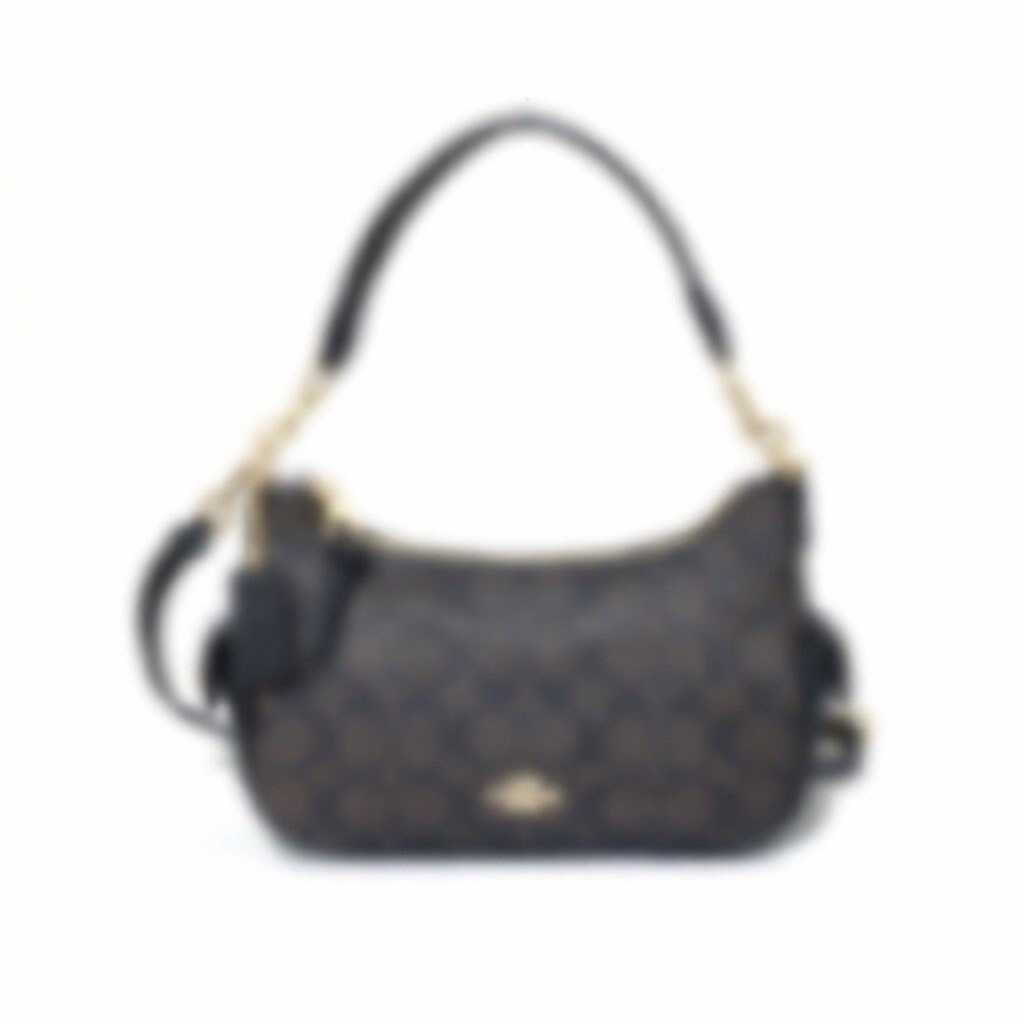 CH Pennie Shoulder 25 Bag in Signature