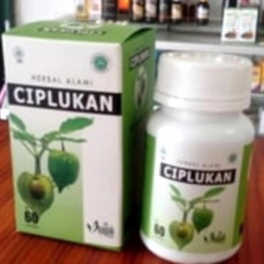 Herbal Alami Ciplukan / obat diabetes melitus inayah
