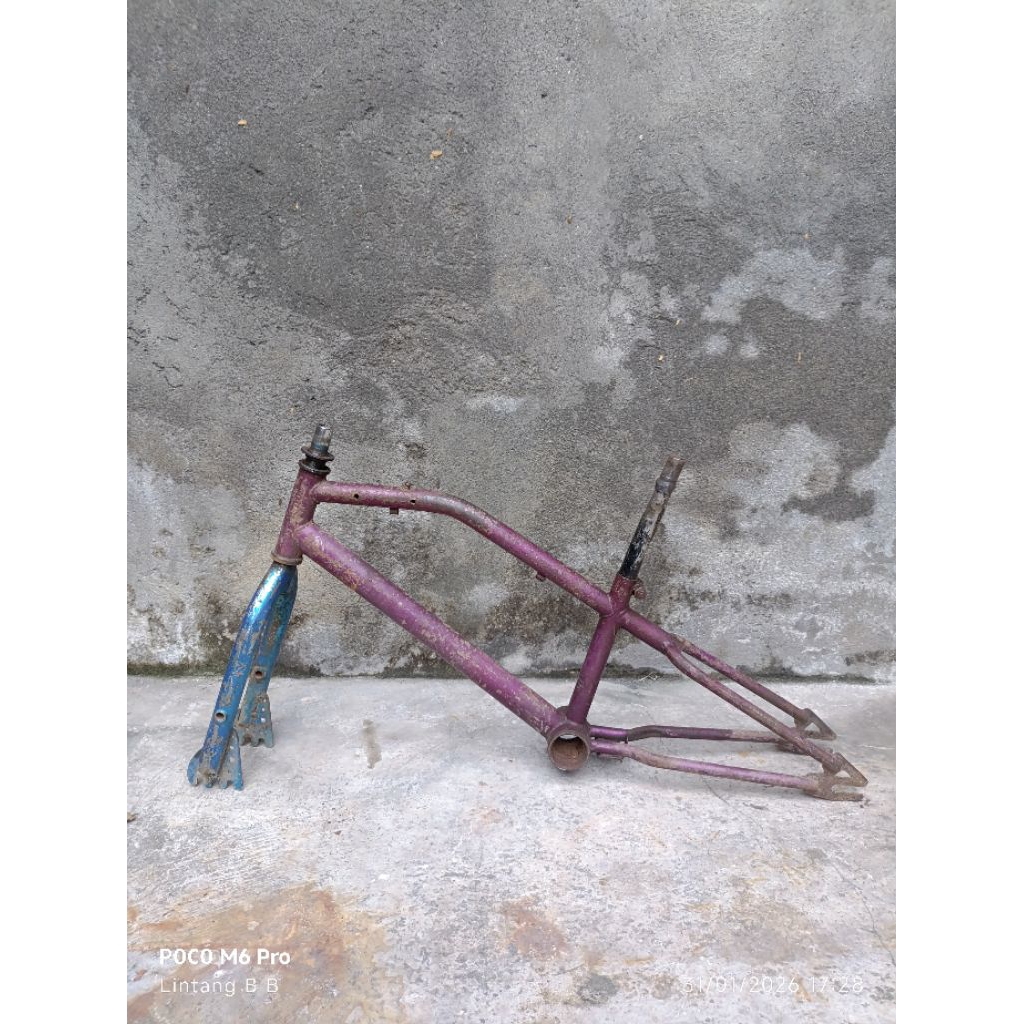 Frame fork BMX Metalizer ring 20
