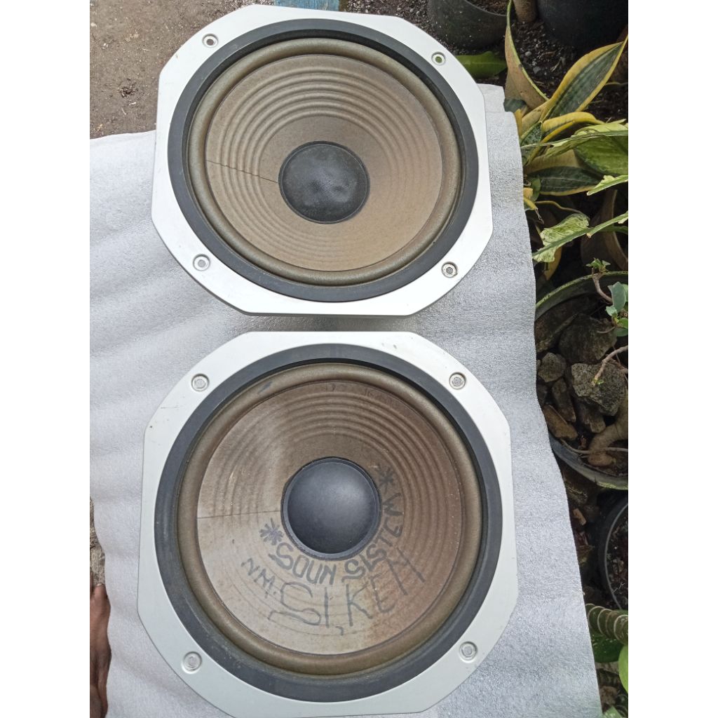 Speaker Pioneer 10 inch/Speaker Woofer 10 inch/Harga Sepasang
