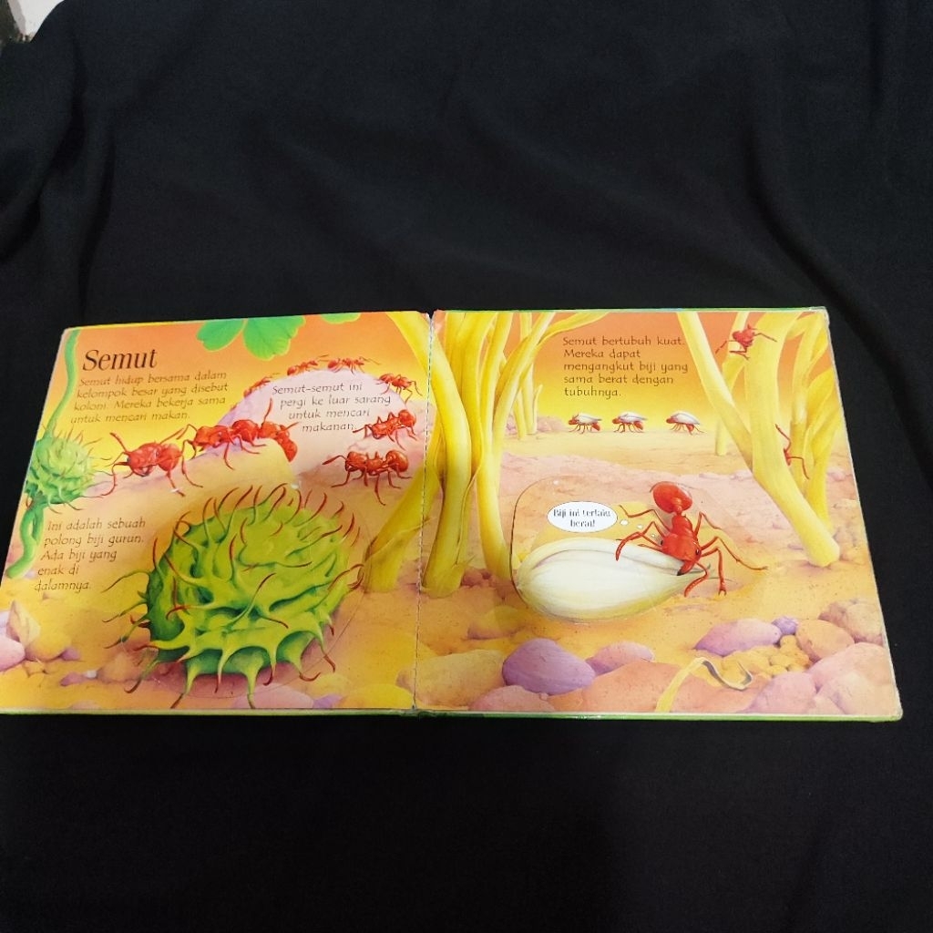Hewan Merayap flip the flap book