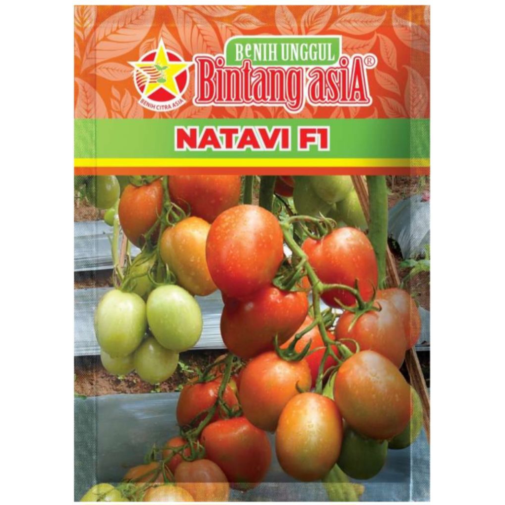 Benih Tomat NATAVI F1 10 Gr Bintang Asia