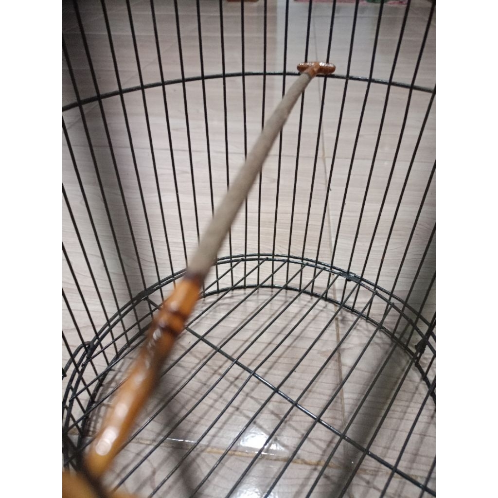 Tangkringan Pleci kayu asem Bali motif cungkok