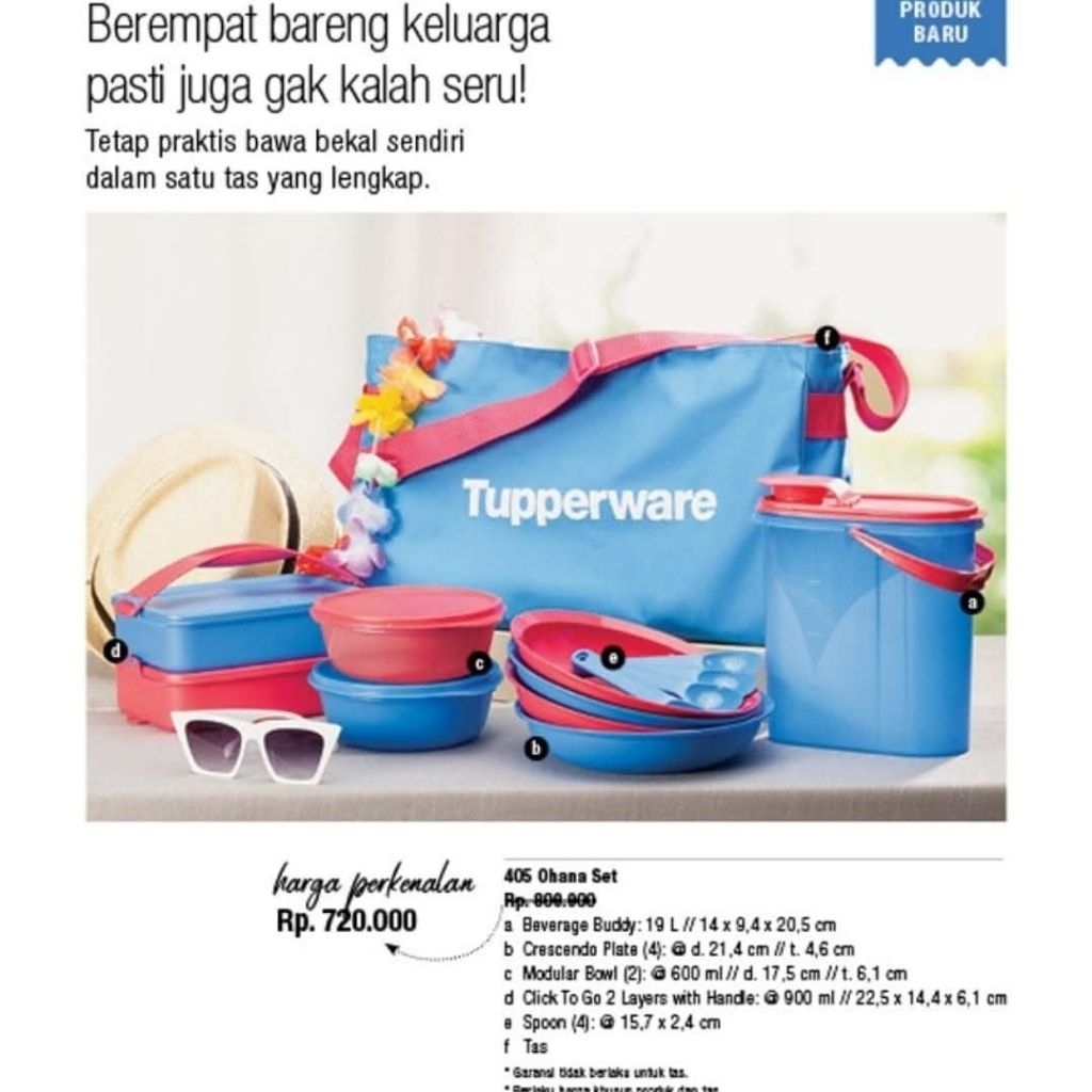 Tupperware OHANA picnic set