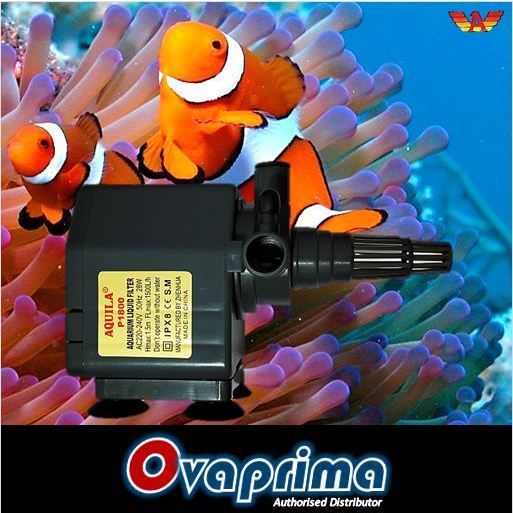 Aquila P-1800 Pompa Air Aquarium Aquascape Submersible Water Pump Aquila P1800