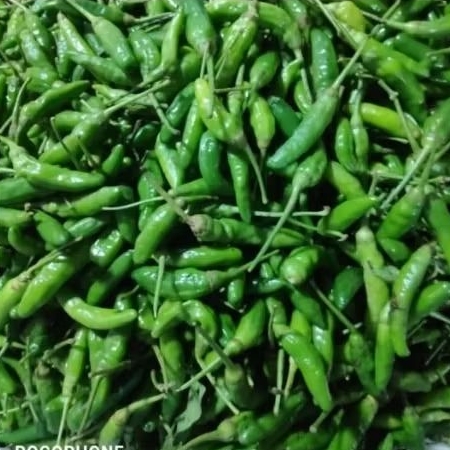 Cabe Rawit hijau 100grm/250grm/500grm