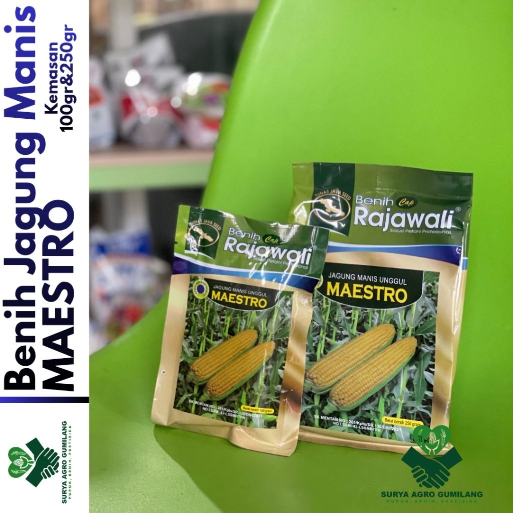 Benih Jagung Manis MAESTRO kms 100gr & 250gr | Benih Jagung Manis | Bibit-Benih Jagung Manis