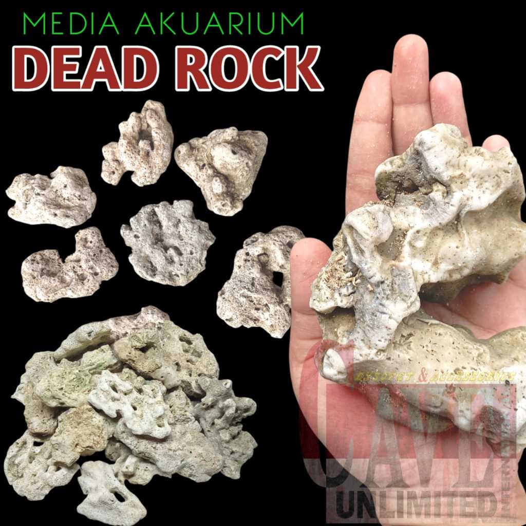 Dead rock batu karang setting air laut batu karang DR scaping aquarium akuarium murah caveunlimited