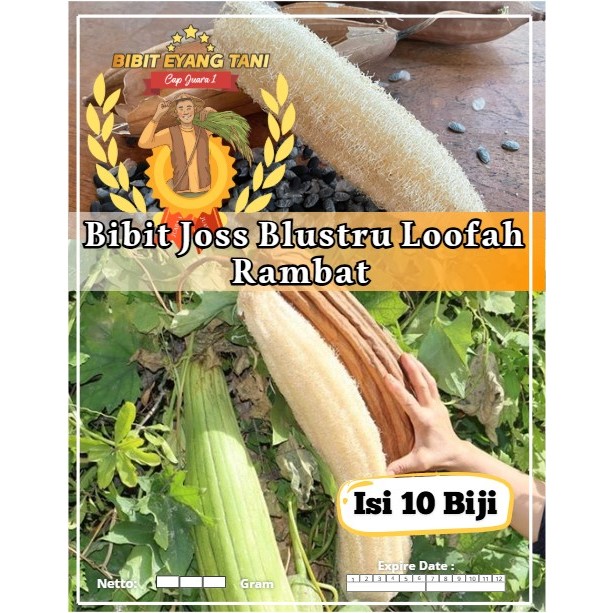 Bibit Joss Blustru Loofah Rambat | Biji Benih Blustru Loofah Rambat | Oyong Blustru Loofah