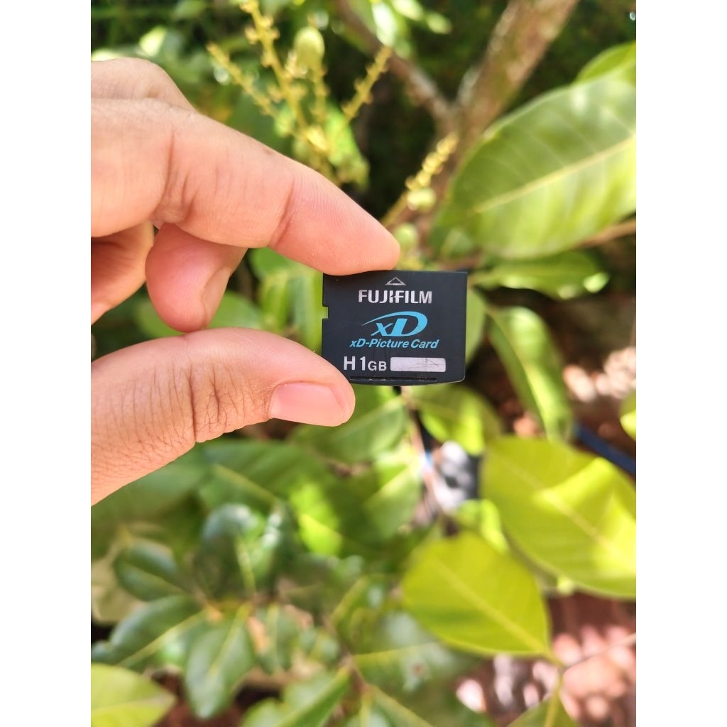 Memory XD Card Olympus H 1GB