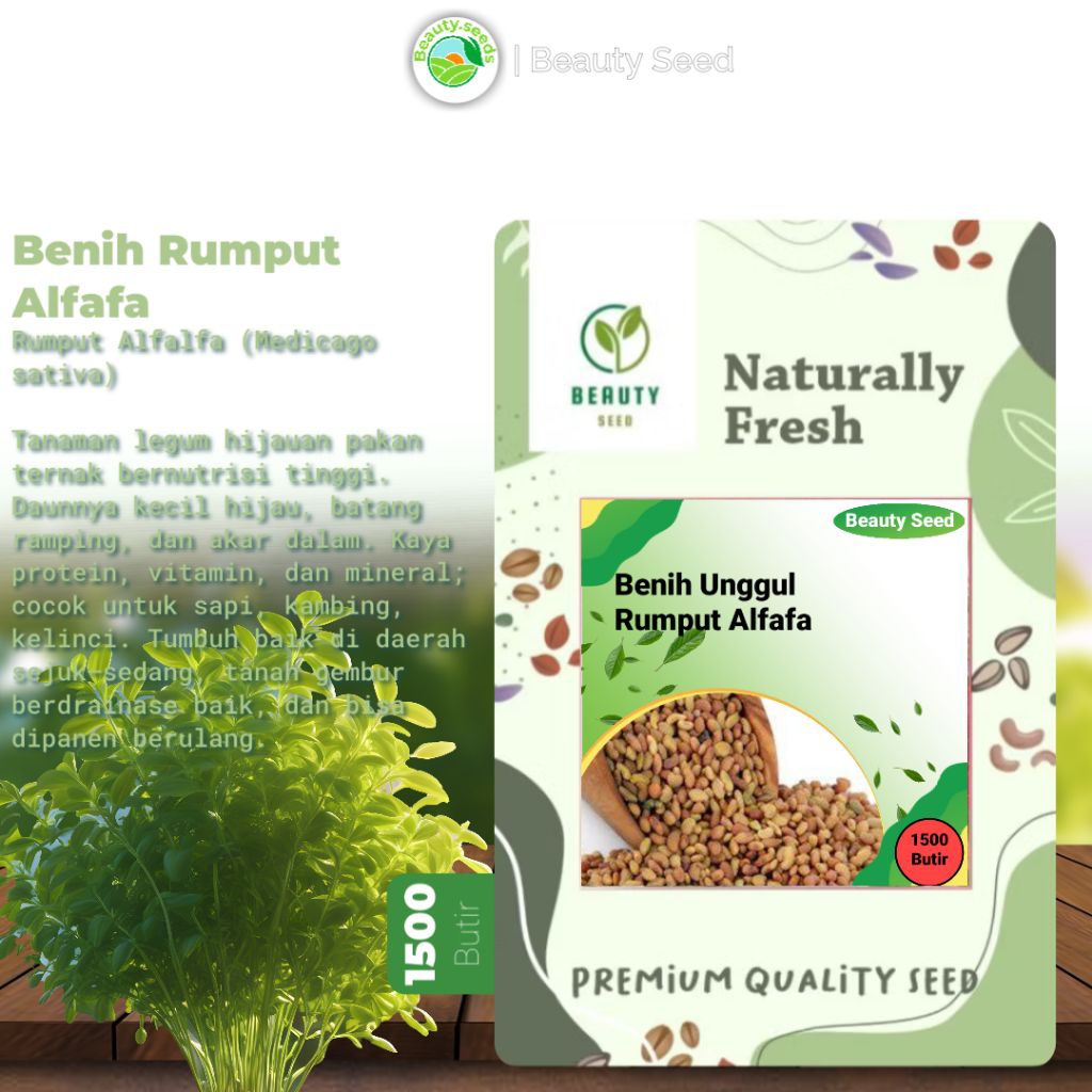 Benih Rumput Alfafa Super 8gr / Pakan Ternak Alfafa Super 1500 Butir 8gr / rumput pakan ternak alfaf