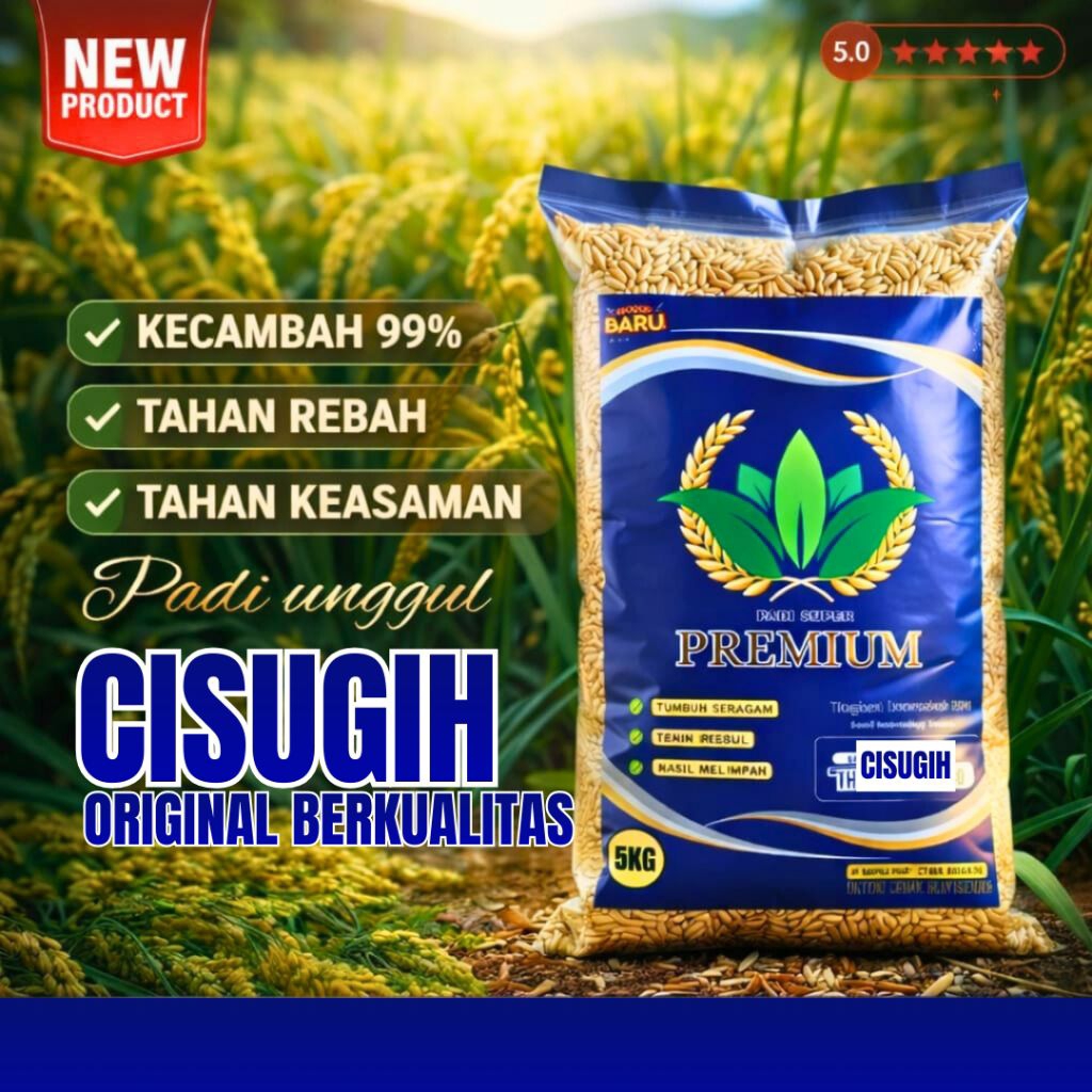 BENIH PADI UNGGUL CIHERANG SUGIH ORIGINAL 5KG