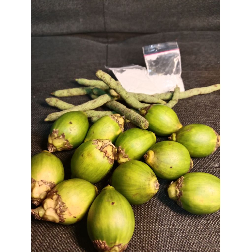 Buah Pinang Sirih Papua