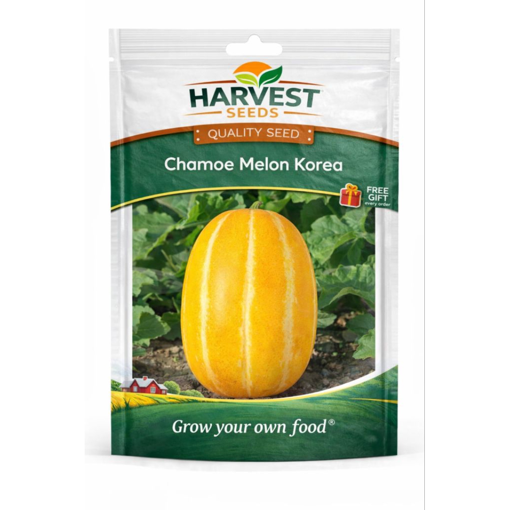 Benih Melon Korea (Chamoe Melon) – Harvest SeedsIsi: 10 butir benih