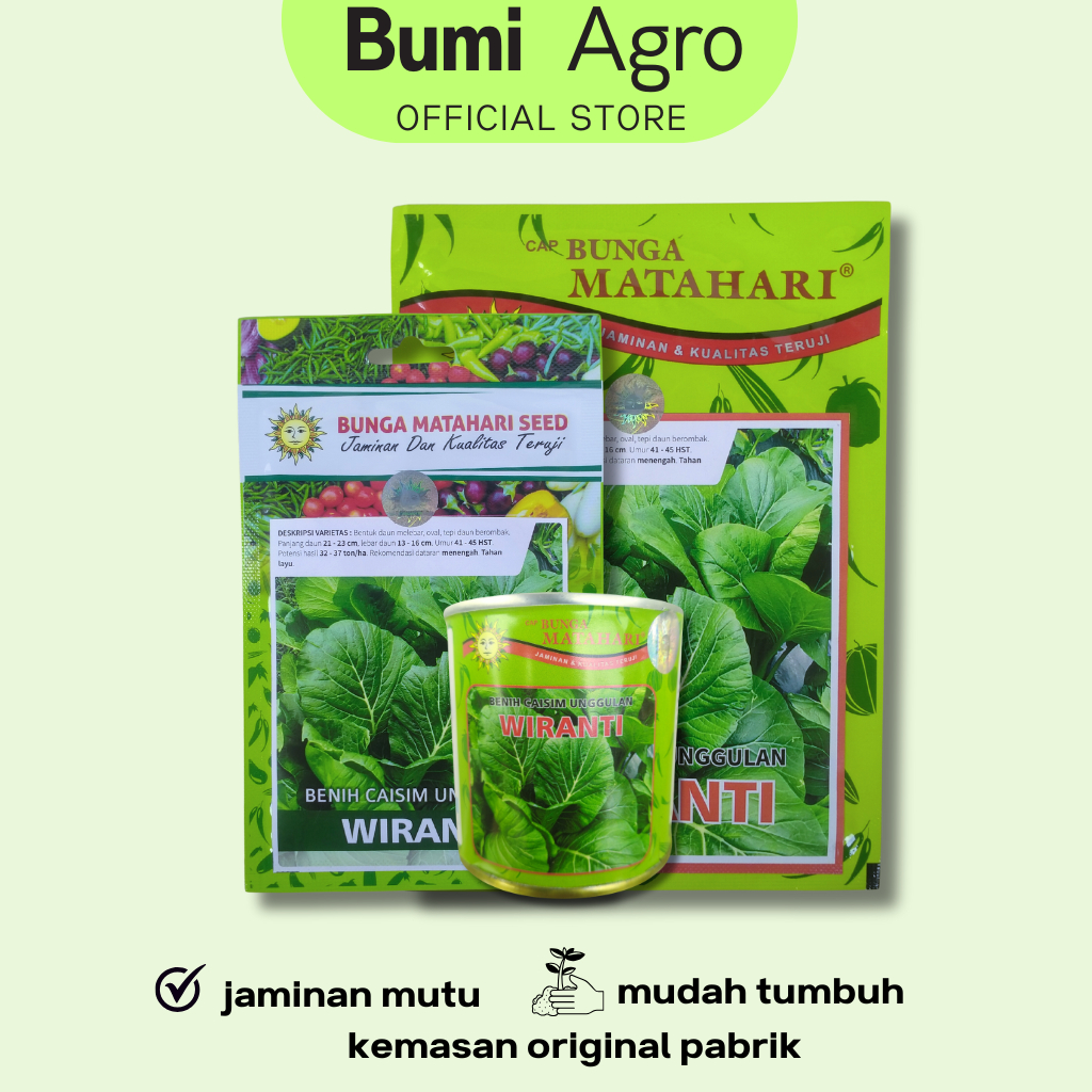 Benih Sawi Caisim 50 gr WIRANTI Cap Bunga Matahari Lebat & Tahan Layu