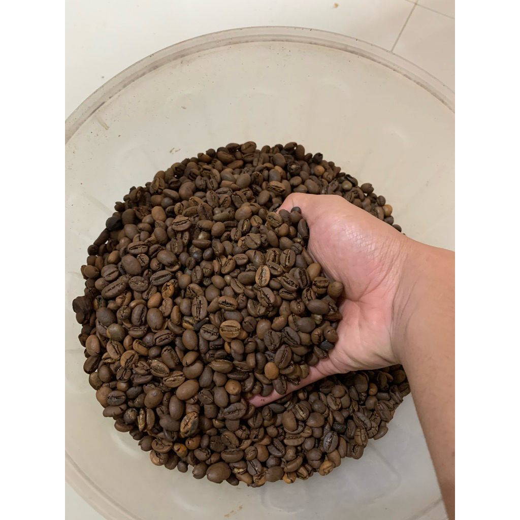 biji kopi sangrai robusta ROBUSTA NATURAL
