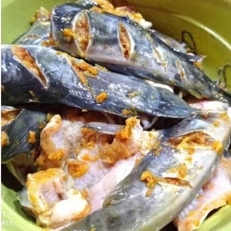 lele segar bumbu kuning kemasan vakum 500gr (frozen/beku)