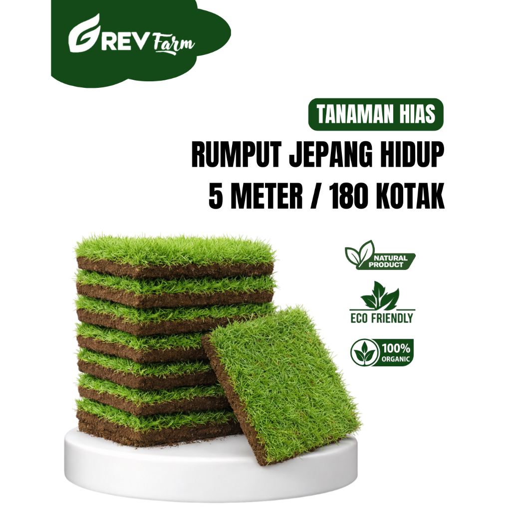 GREV FARM Rumput Jepang Hidup 5 Meter Isi 180 Kotak / Rumput Hias Hijau Segar Untuk Taman / Kuburan 