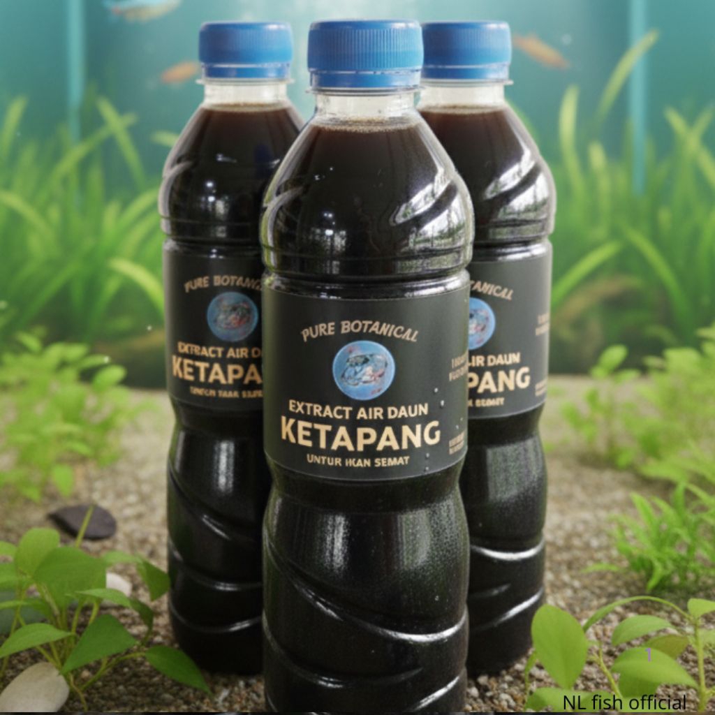 ekstrak ketapang alami/ekstrak daun ketapang