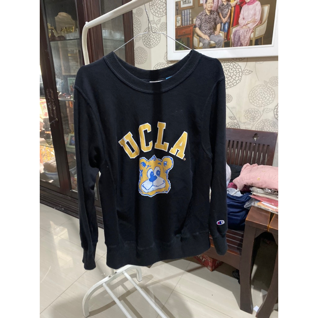 sweater ucla