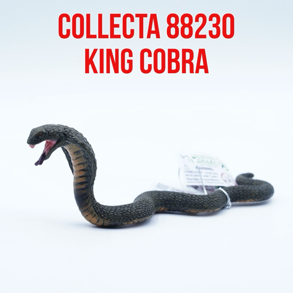 CollectA 88230 King Cobra Snake Ular King Kobra Ular Sendok Ophiophagus Hannah | Mainan Figure Binat