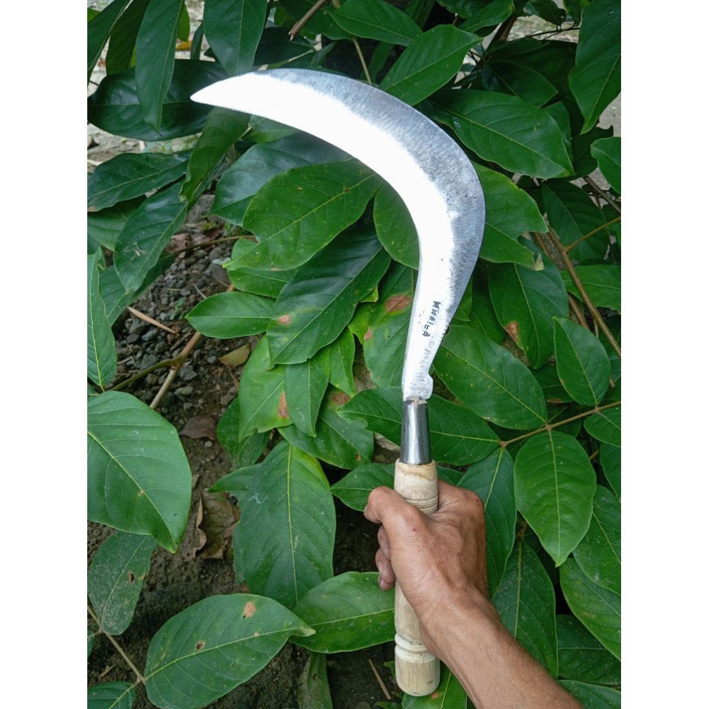 sabit aret rumput ranting baja super tebal