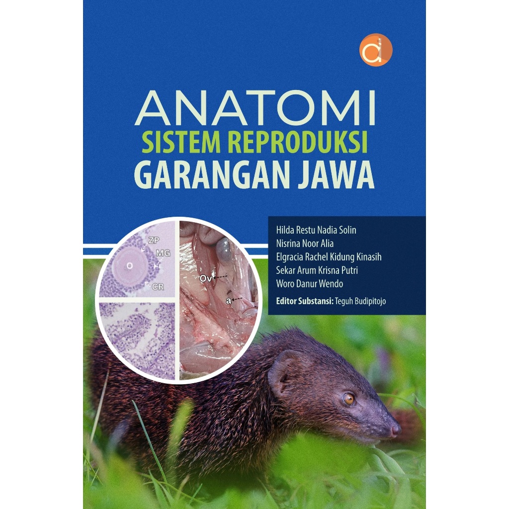 Buku Anatomi Sistem Reproduksi Garangan Jawa / DP13423A