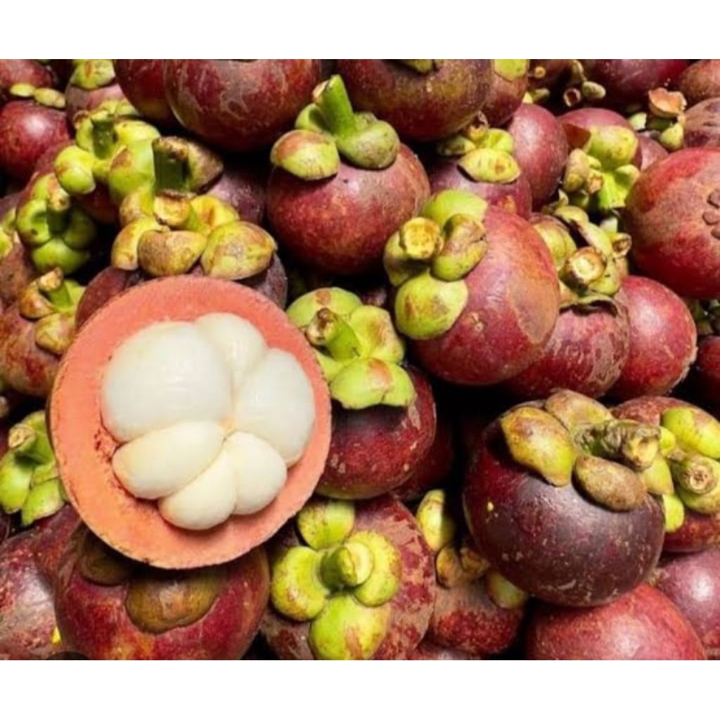 Buah Manggis 1kg