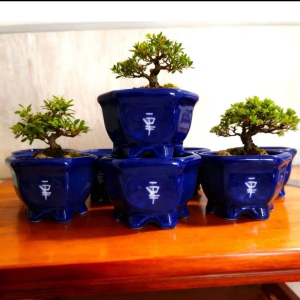 Pot Keramik bonsai Pot Keramik Segi Enam Pot Keramik Tanaman Hias