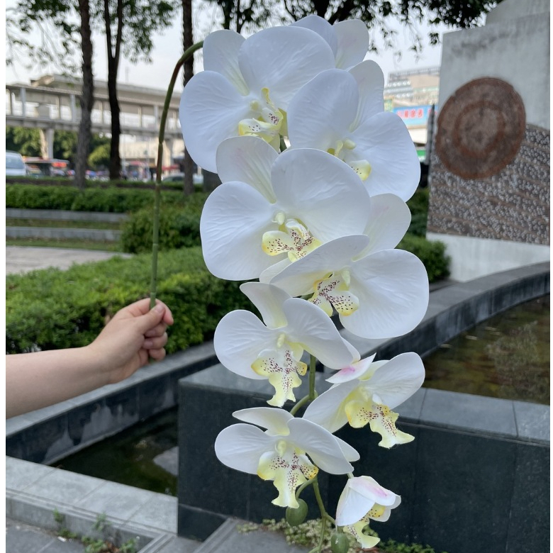 Bunga Orkid Bohong 9 Kuntum | Grosir Bunga Sintetis Berkualitas