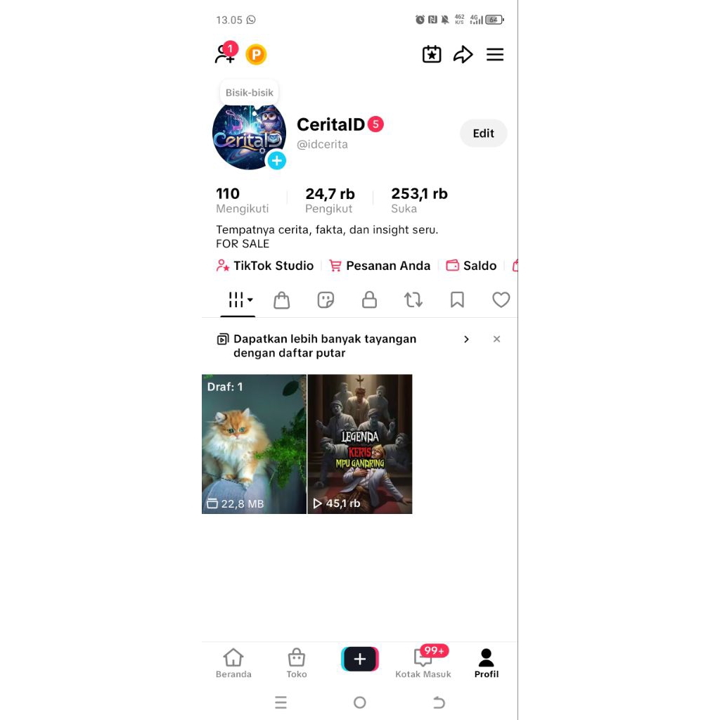 Follower tiktok