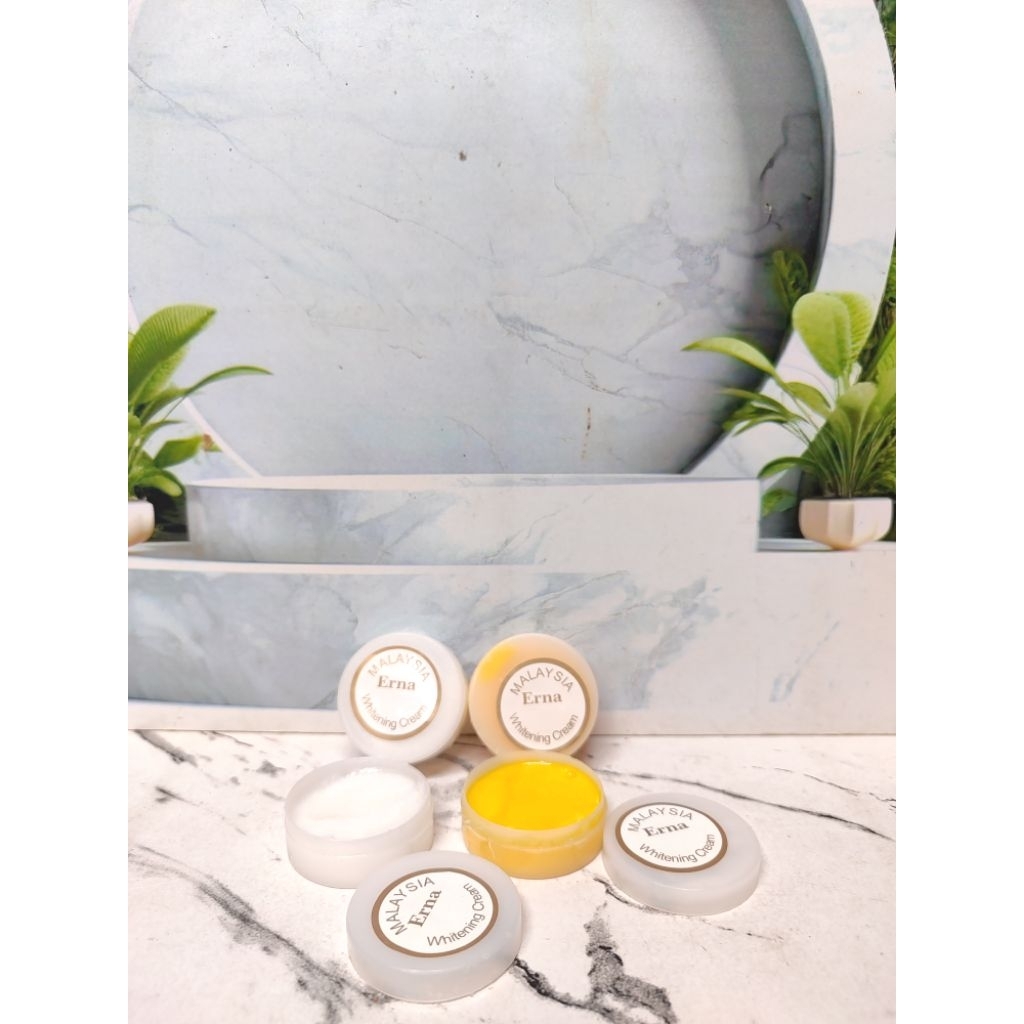 paket 2in1 cream Erna Malaysia whitening cream siang dan malam untuk perawatan wajah