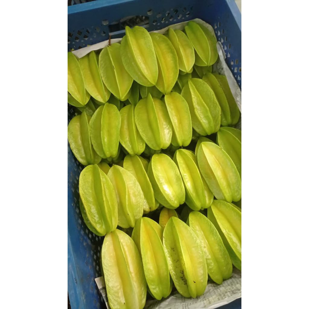 Buah belimbing madu 1kg