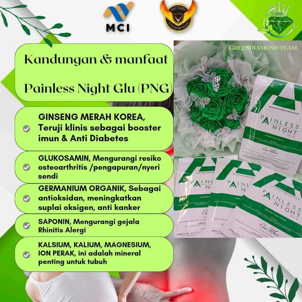 PNG Koyo Turki Original