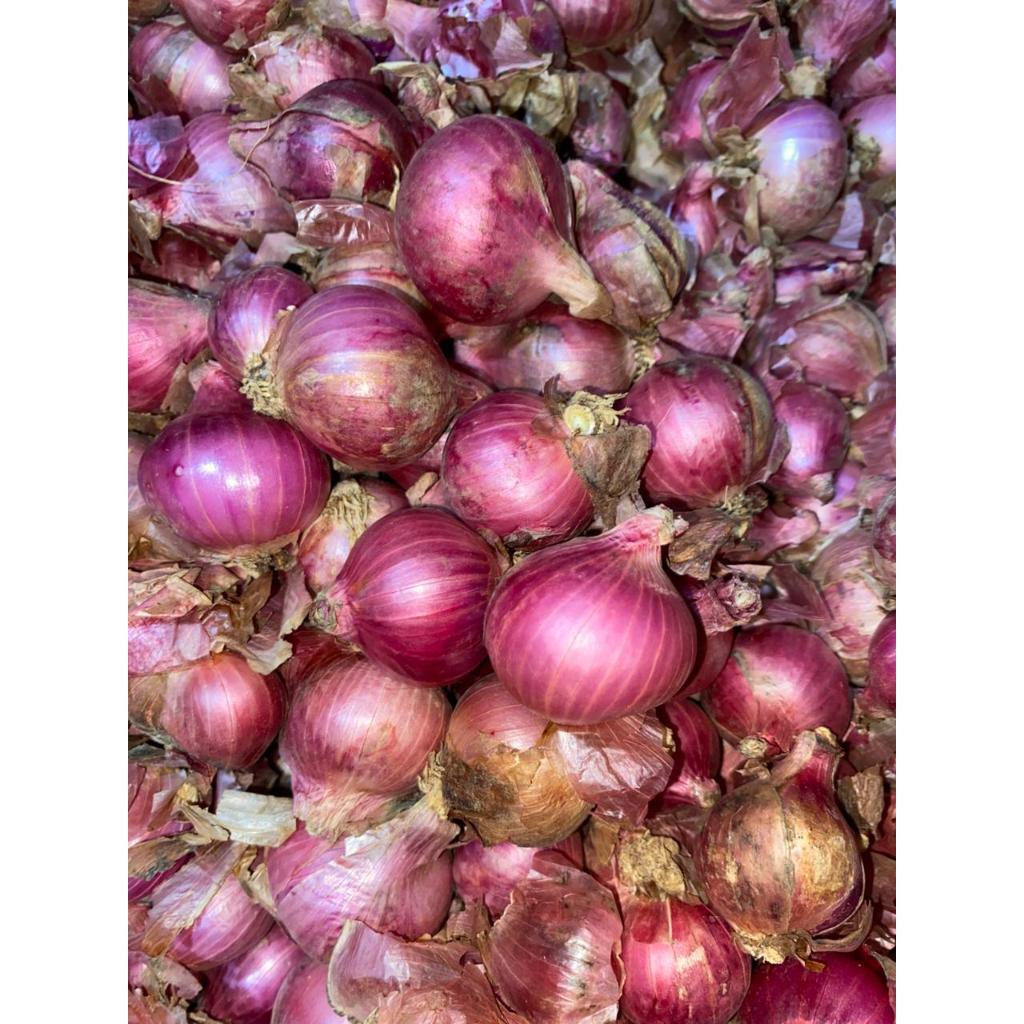 bawang merah 1kg
