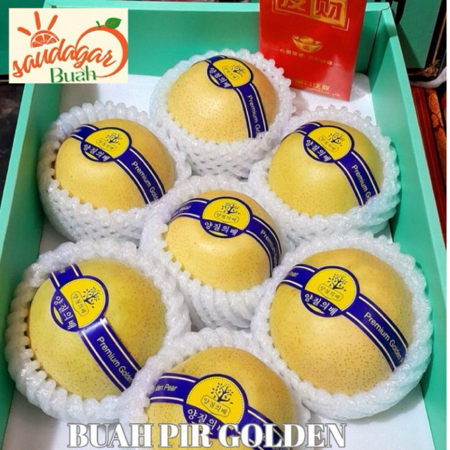 BUAH PIR GOLDEN PEAR JEPANG MANIS GIFT GROSIR 1 DUS