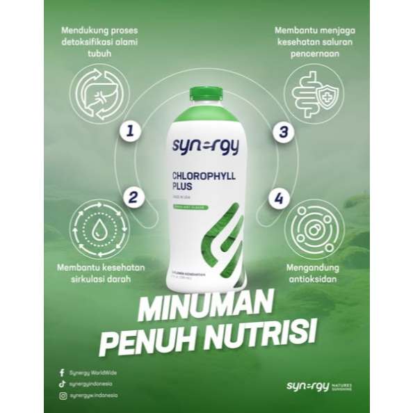 Klorofil Cair sebagai Suplemen Herbal Harian CHLOROPHYLL PLUS (25 Oz) Synergy