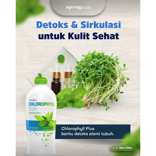 CHLOROPHYLL PLUS (25 Oz) Synergy Suplemen Herbal Antioksidan